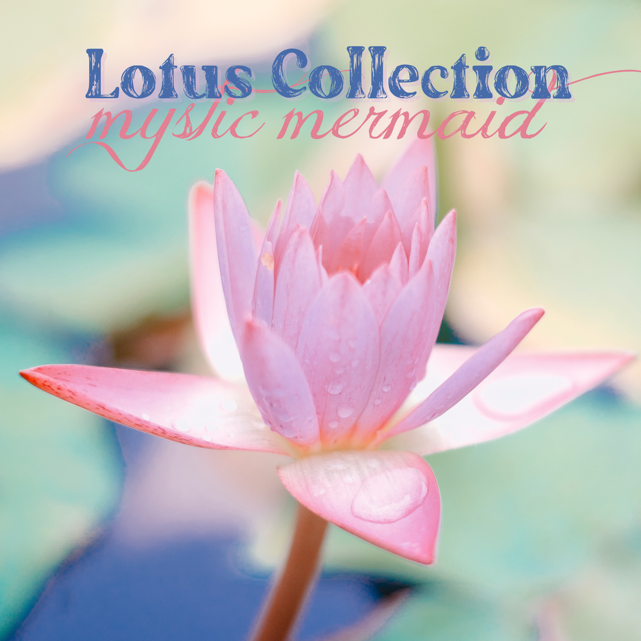 Lotus Collection