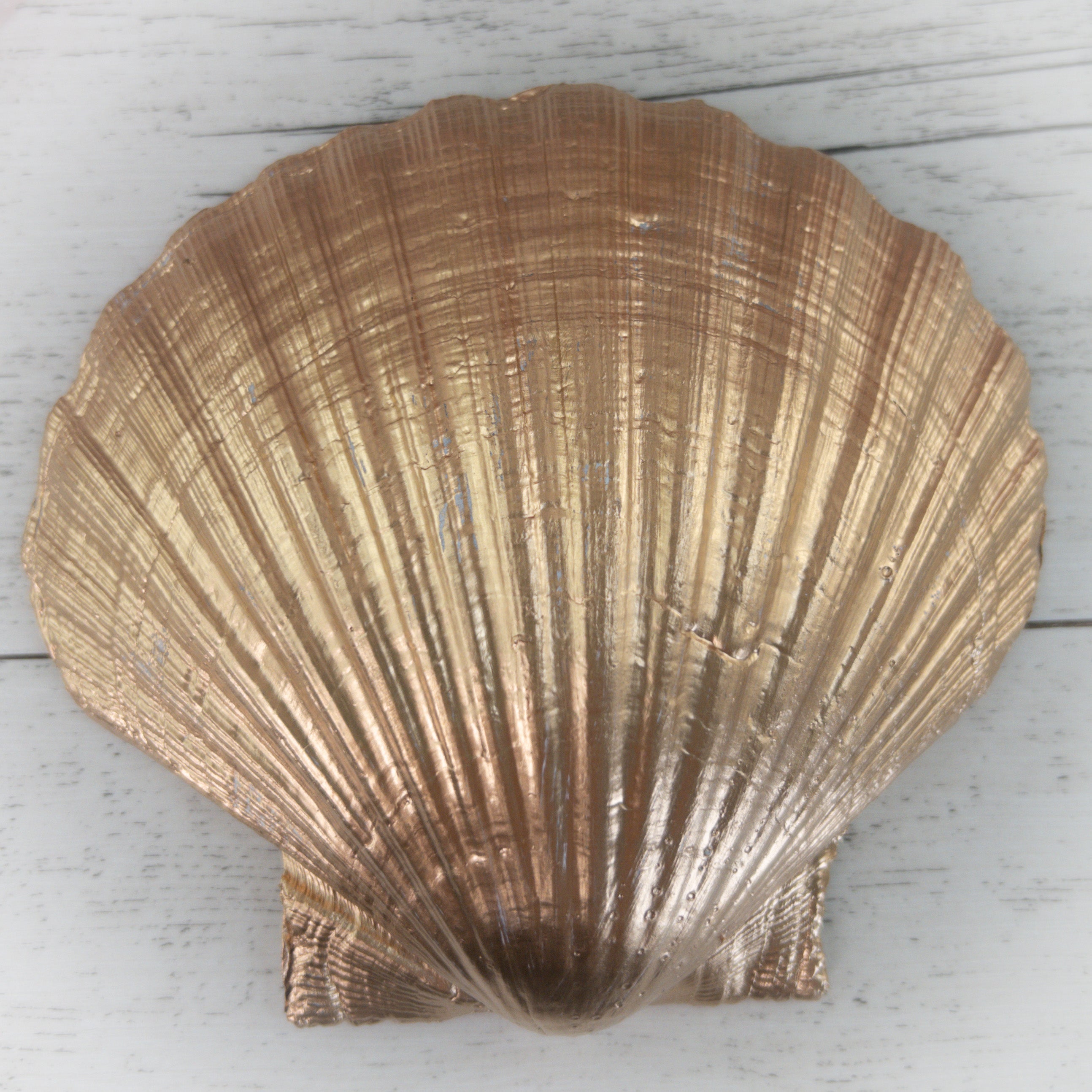 Ocean Treasure Shell Trinket Dish - Rose