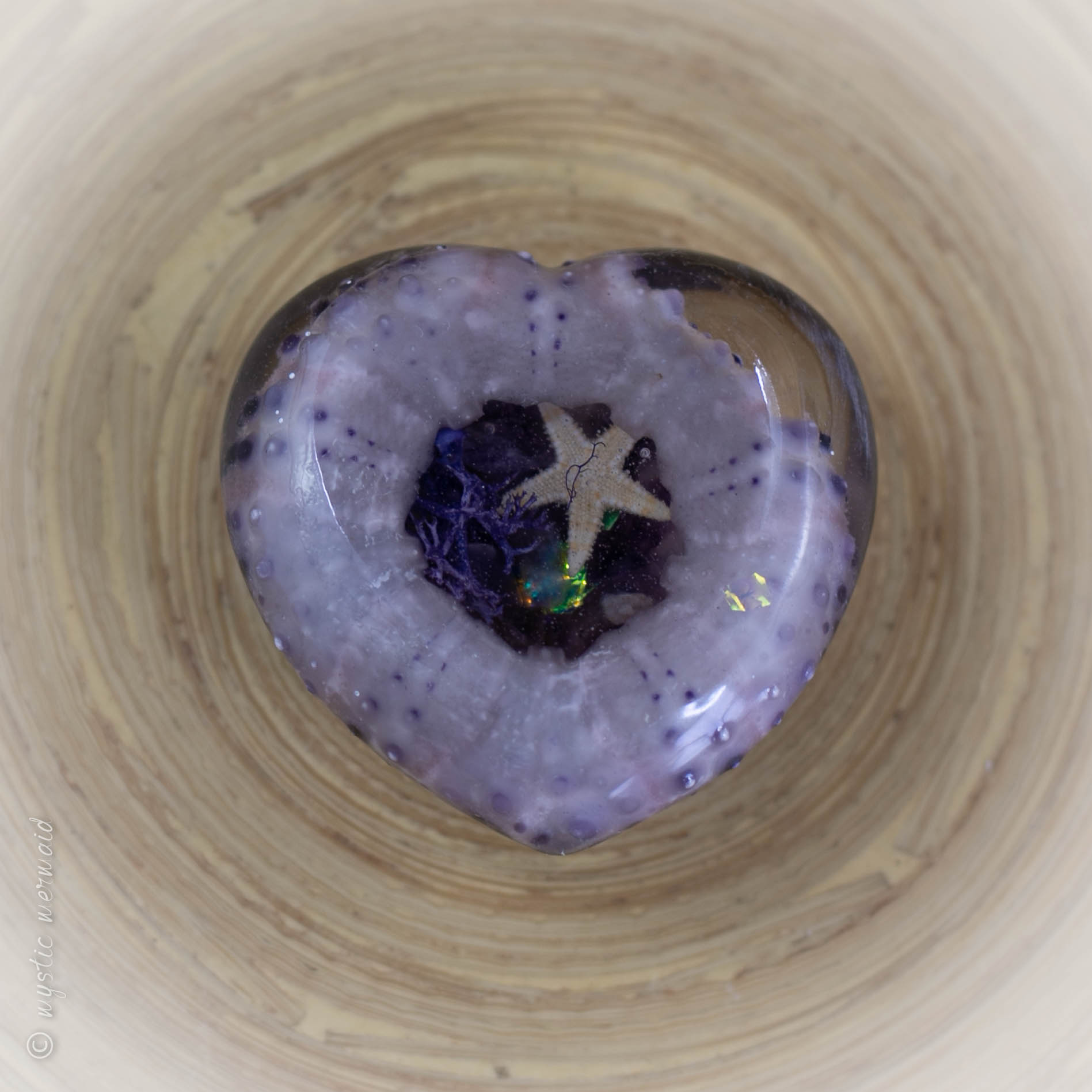 Purple Sea Urchin with Amethyst "secret garden"